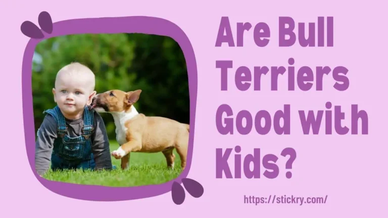Are Bull Terriers Good with Kids